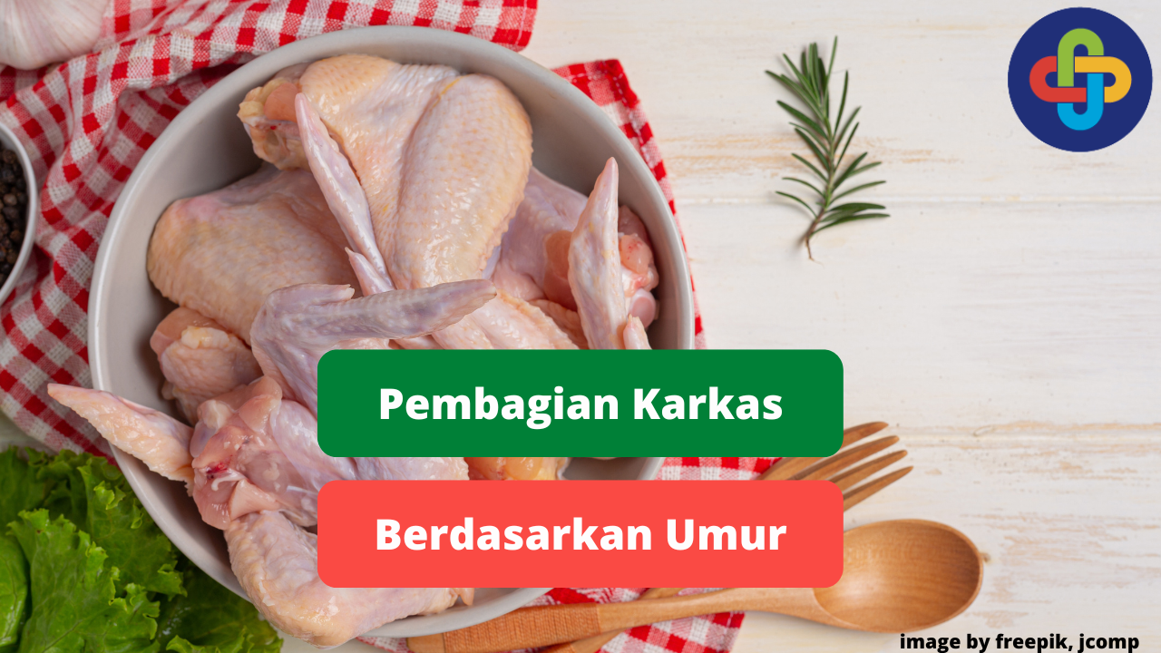 Berikut Pembagian Karkas Daging Ayam Berdasarkan Umur